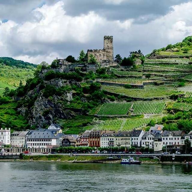 'Tulips & Wine' on our 8 Day Rhine River Cruise - Apr 2023
